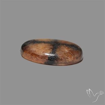 Chiastolite Cross Stone Cabochon