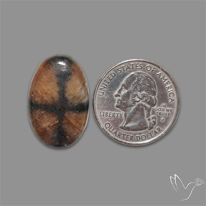 Chiastolite Cross Stone Cabochon