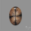 Chiastolite Cross Stone Cabochon