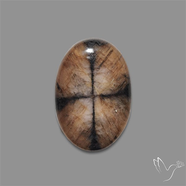 Chiastolite Cross Stone Cabochon