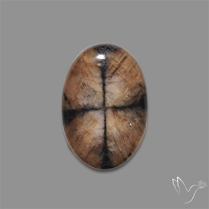 Chiastolite Cross Stone Cabochon