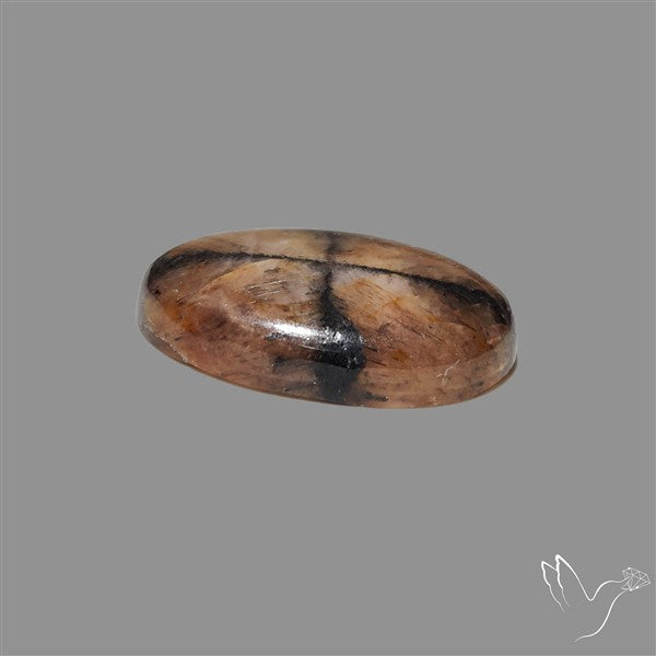 Chiastolite Cross Stone Cabochon