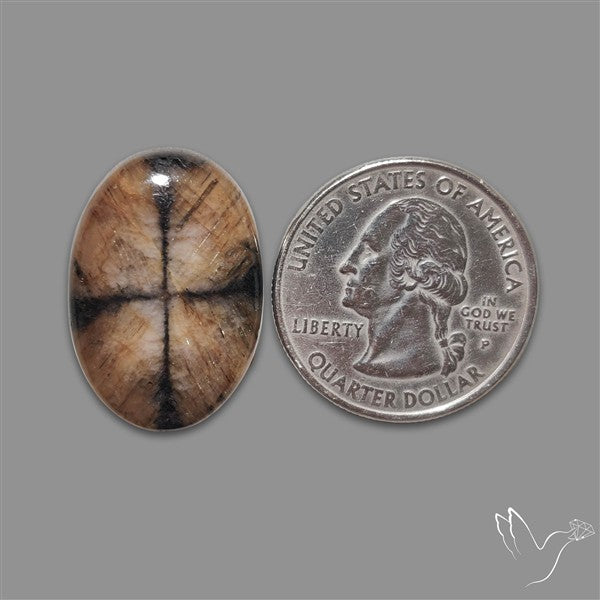 Chiastolite Cross Stone Cabochon
