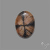 Chiastolite Cross Stone Cabochon
