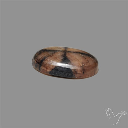 Chiastolite Cross Stone Cabochon