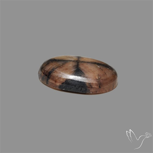 Chiastolite Cross Stone Cabochon