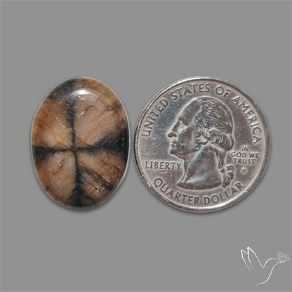 Chiastolite Cross Stone Cabochon