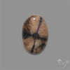 Chiastolite Cross Stone Cabochon