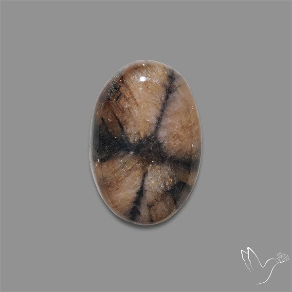 Chiastolite Cross Stone Cabochon