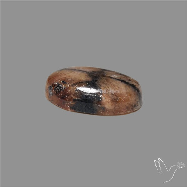Chiastolite Cross Stone Cabochon