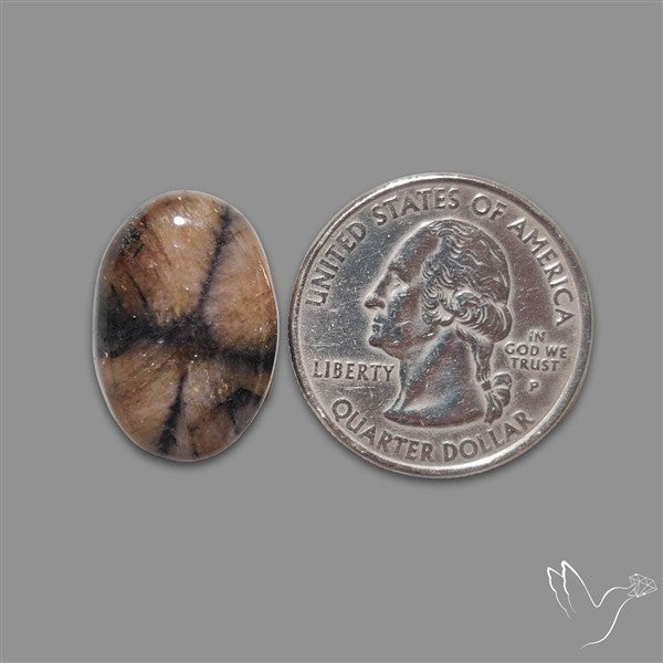 Chiastolite Cross Stone Cabochon