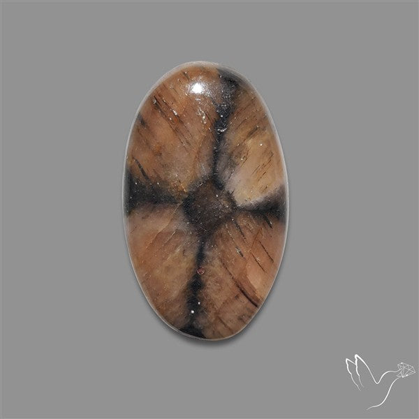 Chiastolite Cross Stone Cabochon