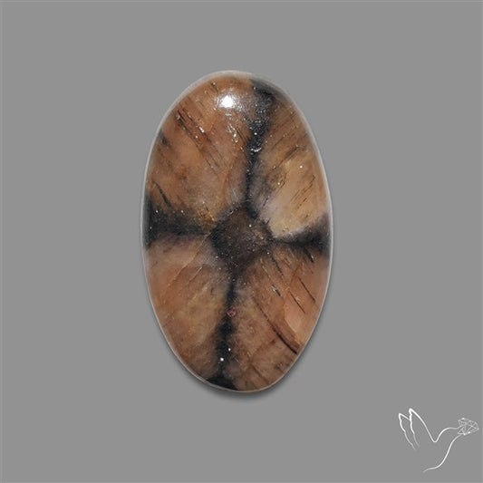 Chiastolite Cross Stone Cabochon