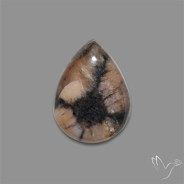Chiastolite Cross Stone Cabochon
