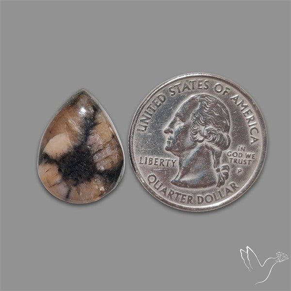 Chiastolite Cross Stone Cabochon