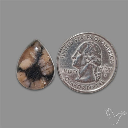 Chiastolite Cross Stone Cabochon