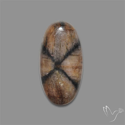 Chiastolite Cross Stone Cabochon