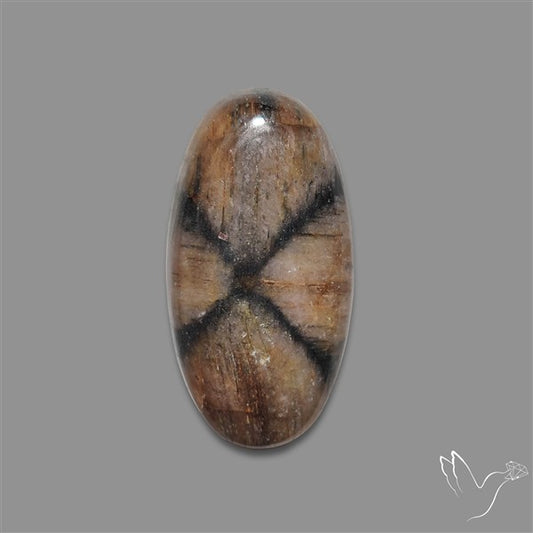 Chiastolite Cross Stone Cabochon