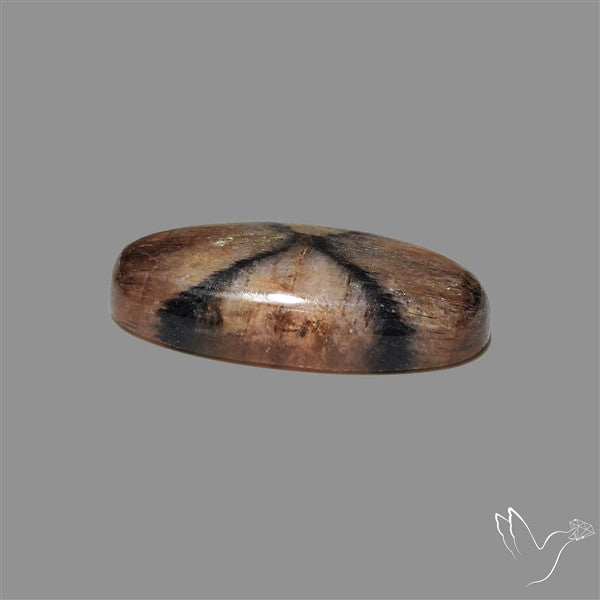 Chiastolite Cross Stone Cabochon