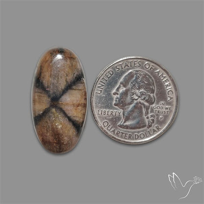 Chiastolite Cross Stone Cabochon