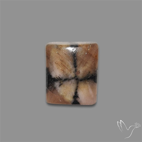 Chiastolite Cross Stone Cabochon