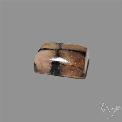 Chiastolite Cross Stone Cabochon