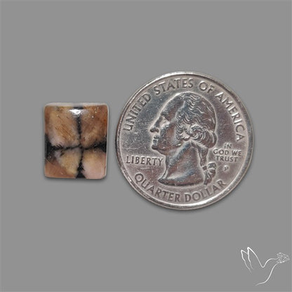 Chiastolite Cross Stone Cabochon