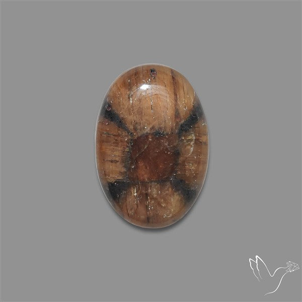 Chiastolite Cross Stone Cabochon