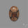 Chiastolite Cross Stone Cabochon