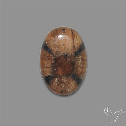 Chiastolite Cross Stone Cabochon