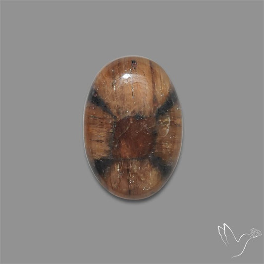 Chiastolite Cross Stone Cabochon