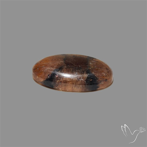 Chiastolite Cross Stone Cabochon