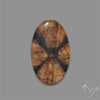 Chiastolite Cross Stone Cabochon