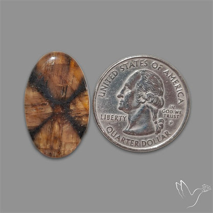 Chiastolite Cross Stone Cabochon