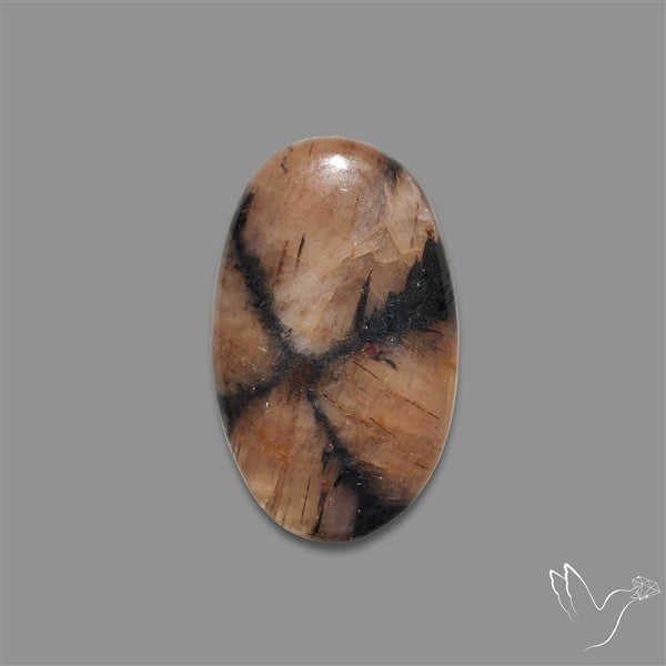 Chiastolite Cross Stone Cabochon