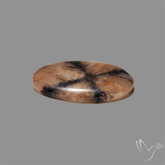 Chiastolite Cross Stone Cabochon