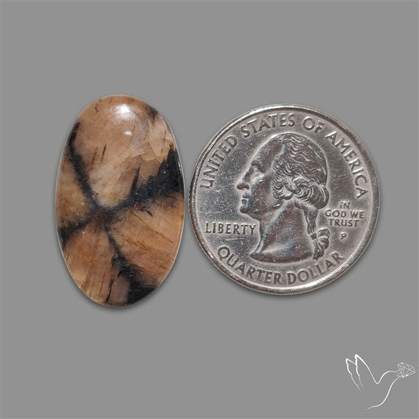 Chiastolite Cross Stone Cabochon