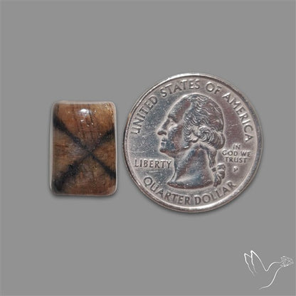 Chiastolite Cross Stone Cabochon