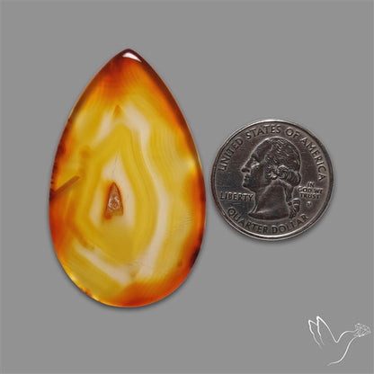 Gemmy Montana Agate Flat Slice Cabochon