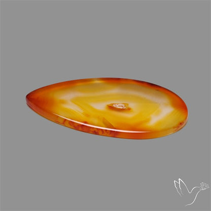 Gemmy Montana Agate Flat Slice Cabochon