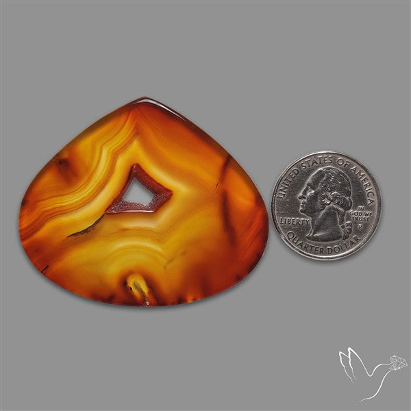 Gemmy Montana Agate Flat Slice Cabochon
