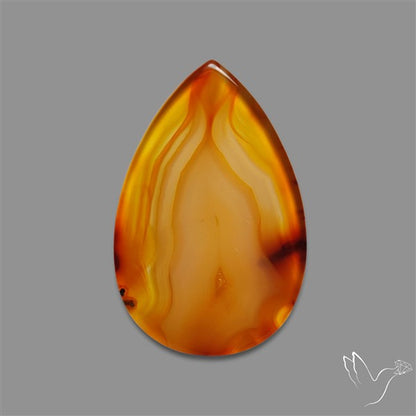 Gemmy Montana Agate Flat Slice Cabochon
