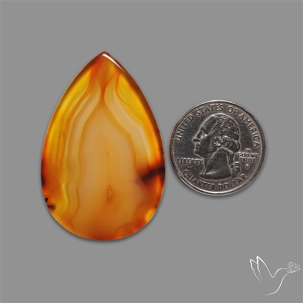 Gemmy Montana Agate Flat Slice Cabochon