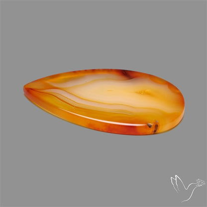 Gemmy Montana Agate Flat Slice Cabochon