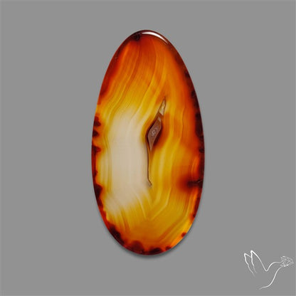 Gemmy Montana Agate Flat Slice Cabochon