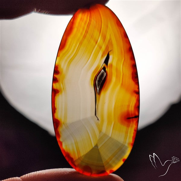 Gemmy Montana Agate Flat Slice Cabochon