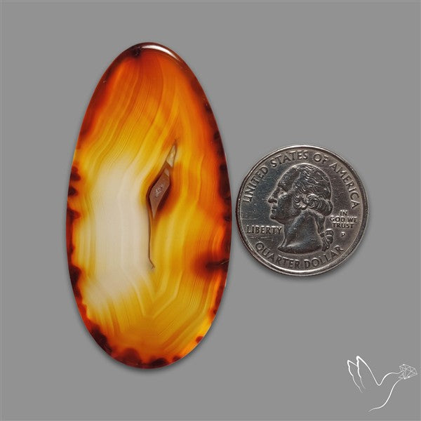 Gemmy Montana Agate Flat Slice Cabochon