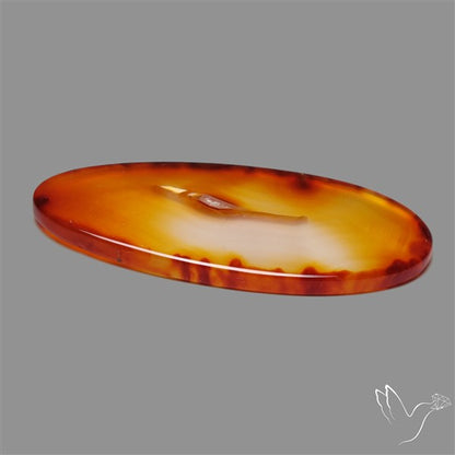 Gemmy Montana Agate Flat Slice Cabochon