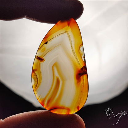 Gemmy Montana Agate Flat Slice Cabochon