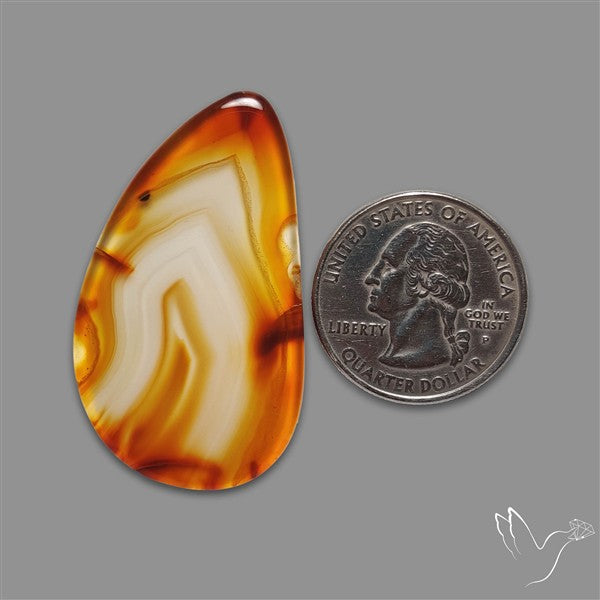Gemmy Montana Agate Flat Slice Cabochon